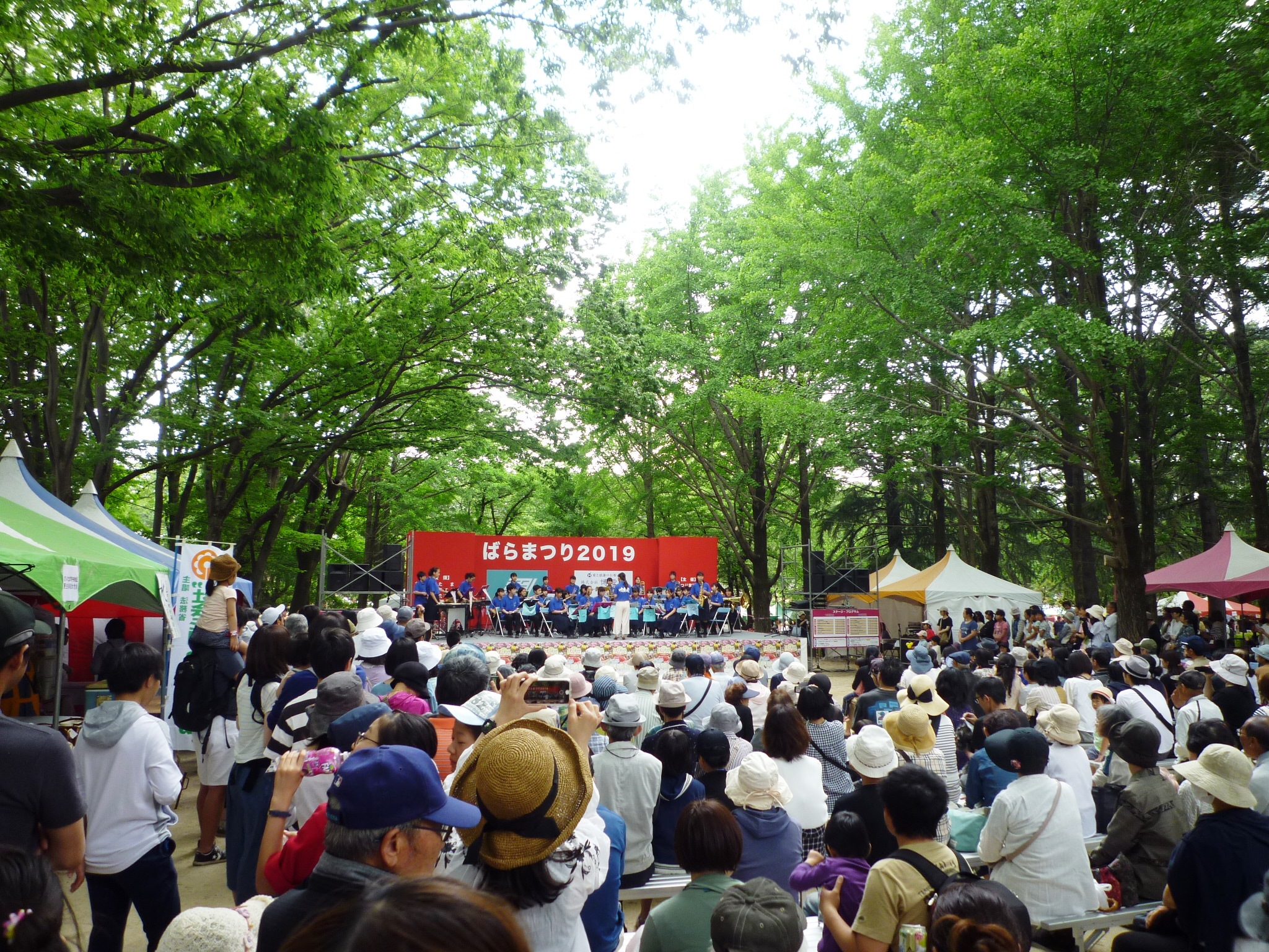 与野公園ばらまつり19 さいたま市浦和の住まい探しと不動産 住ステーション浦和