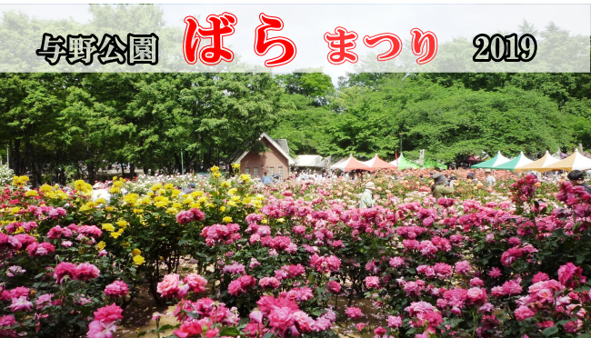 与野公園ばらまつり19 さいたま市浦和の住まい探しと不動産 住ステーション浦和